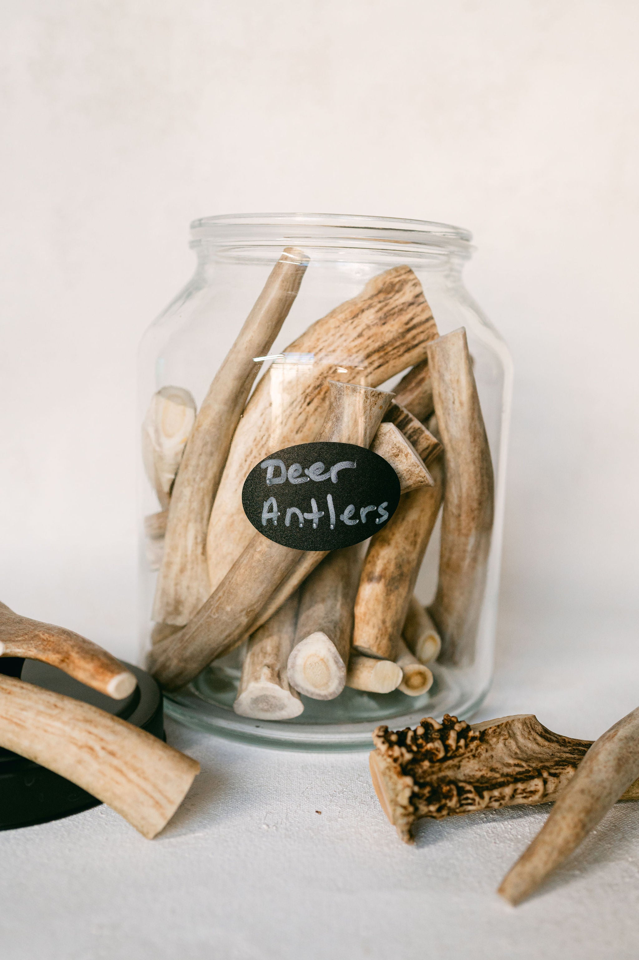 Deer Antler-Dog chew