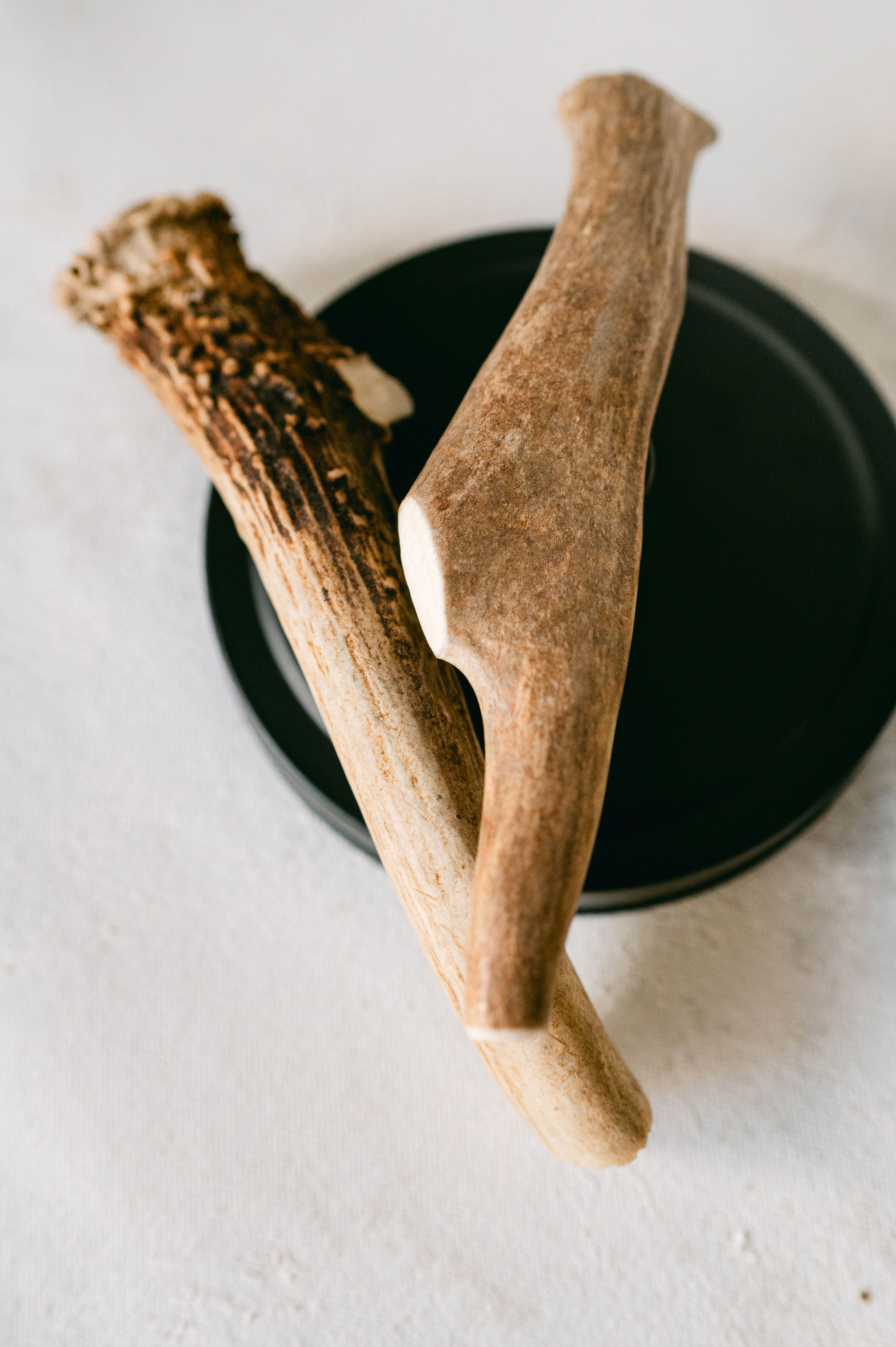 Deer Antler-Dog chew