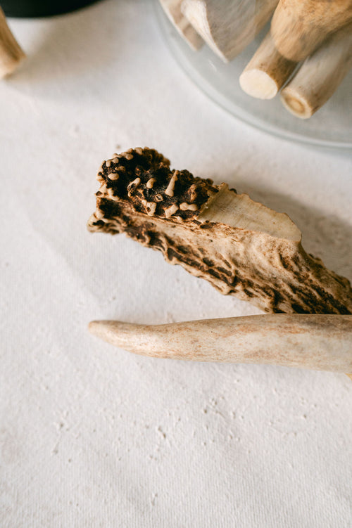 Deer Antler-Dog chew